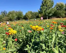 关于?鰪愗E鸧&amp;>k菊0?*盙i4亊-九游娱乐